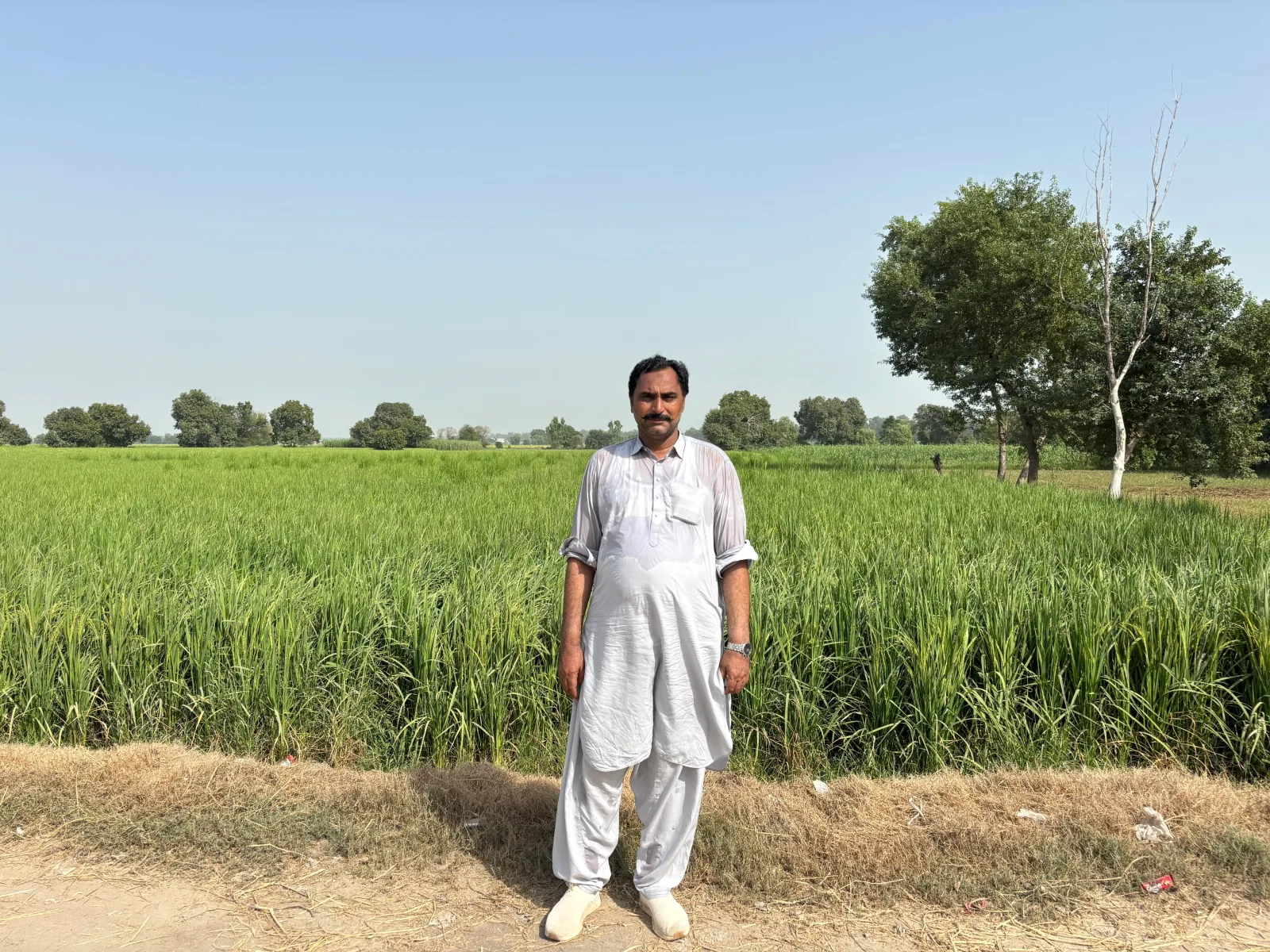 A farmer beside a standing rice crop, photographed during a Haqqo field visit