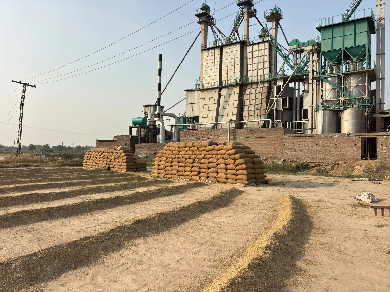 Rows of paddy drying in the yard beside a rice mill’s processing equipment
