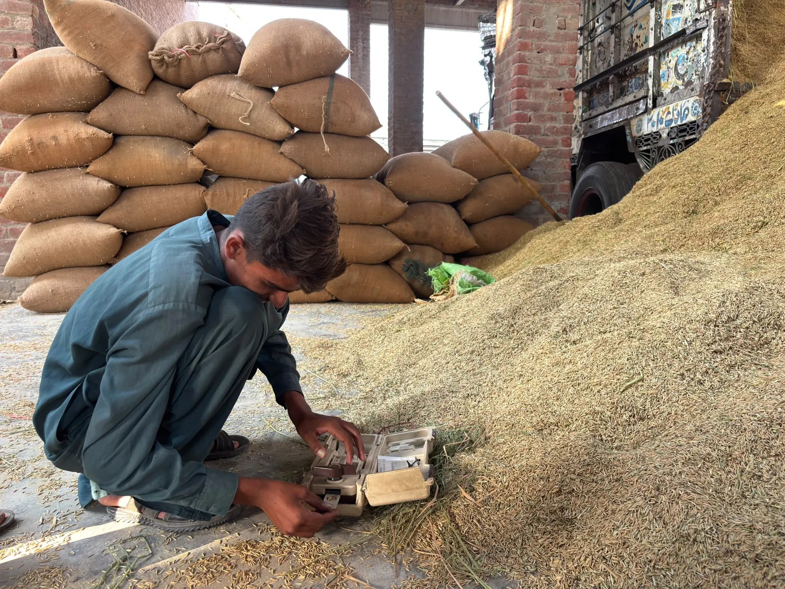 A man using moisture-testing equipment beside paddy during a mill visit