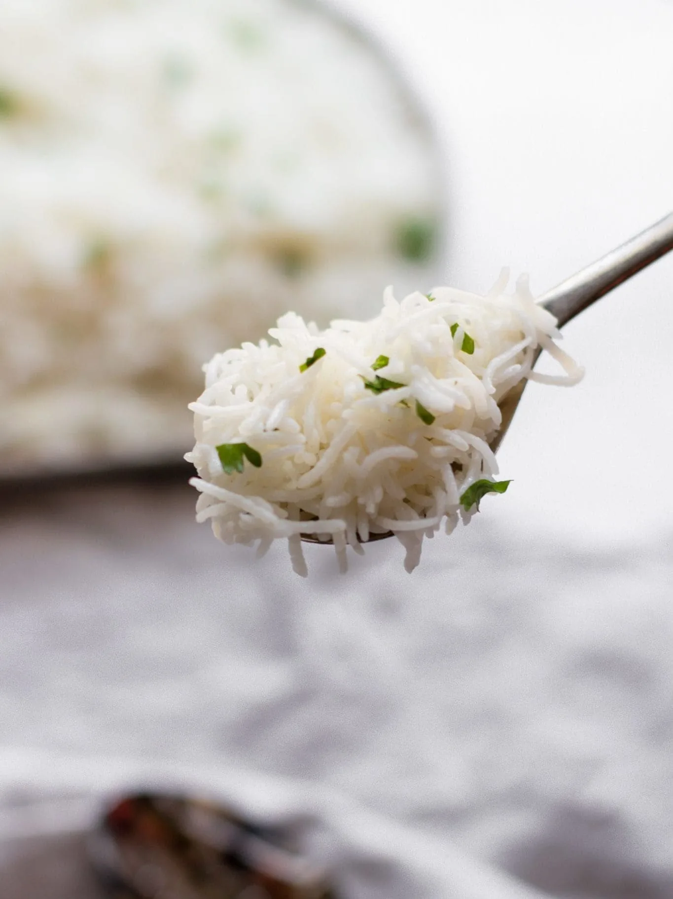 Cooked long-grain rice on a spoon; a serving photograph, not a verified Haqqo lot