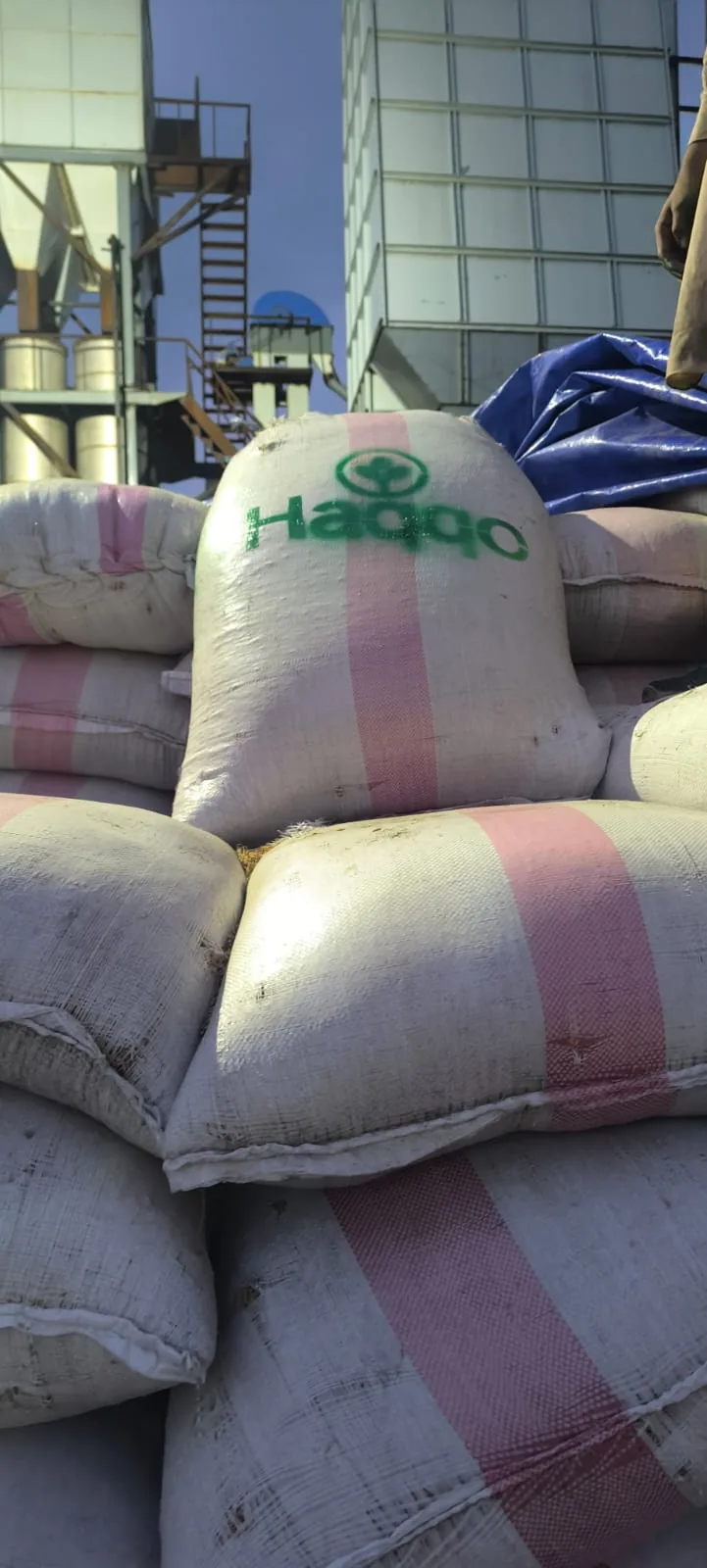 A close view of a Haqqo-labelled white sack in a stack at the mill