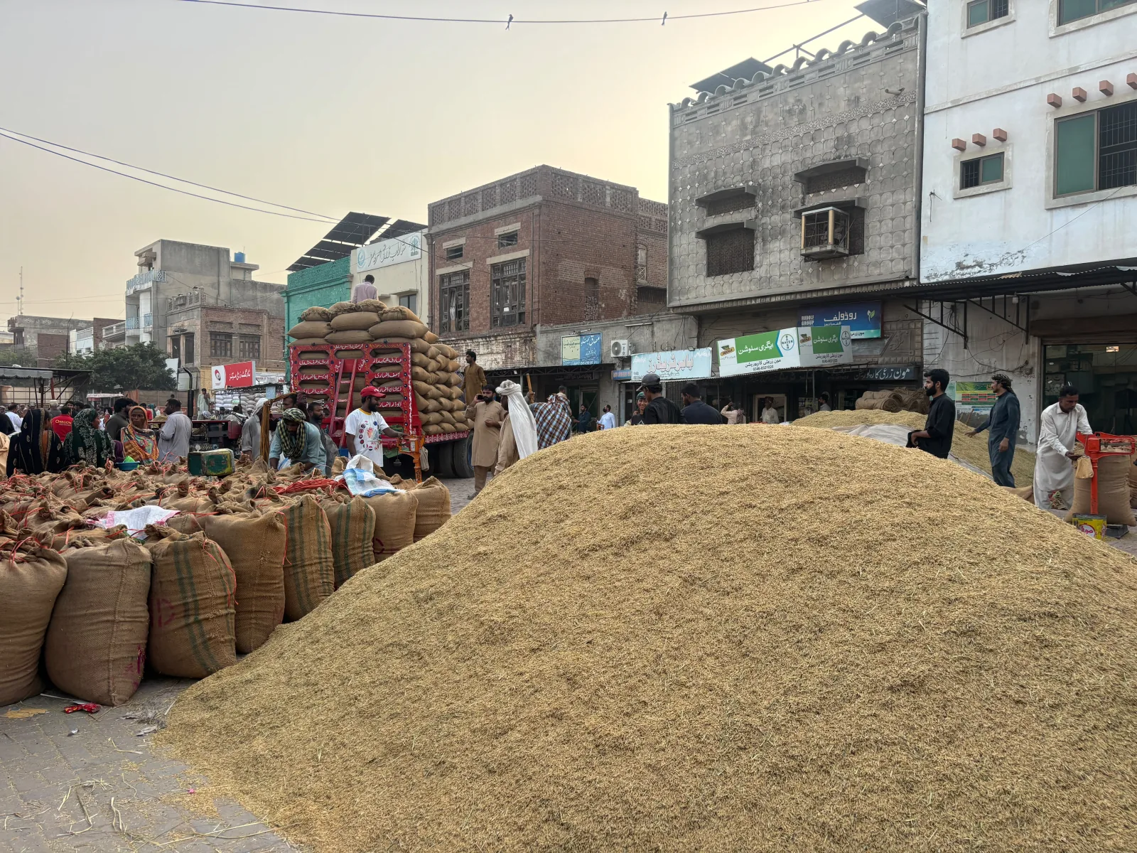 A large heap of loose paddy beside sacks and a loaded truck at a local wholesale market