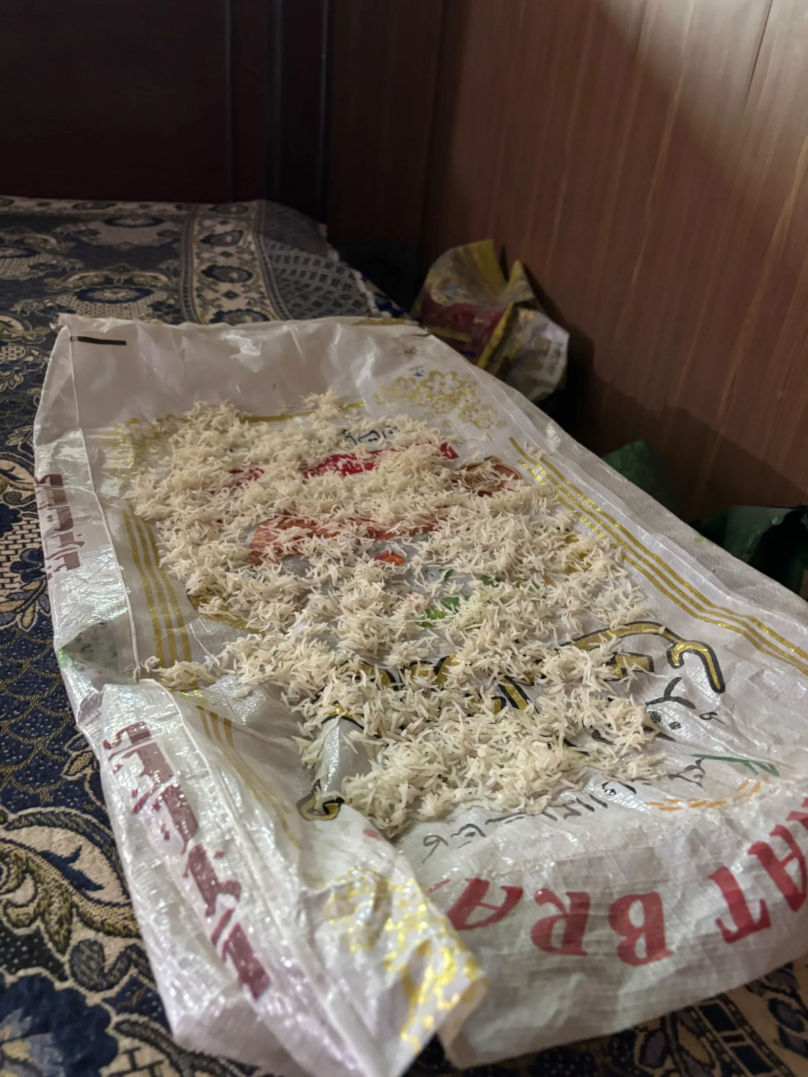 Rice samples laid out for examination during a mill visit